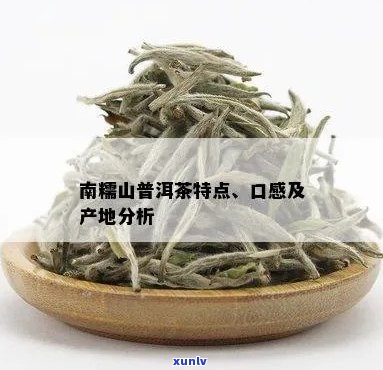 南糯山生普洱茶特点和口感：探究这款茶叶的价值与美味