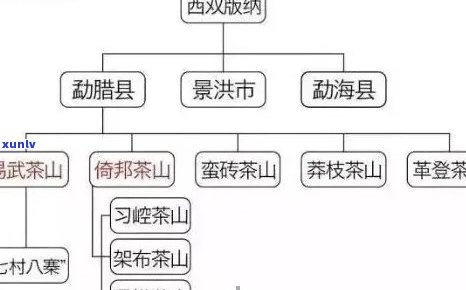 新'南糯山普洱茶：源自云南古六大茶山之一的传奇茶叶产地探析'