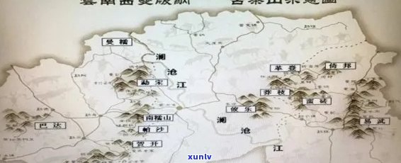 新'南糯山普洱茶：源自云南古六大茶山之一的传奇茶叶产地探析'