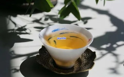 南糯山普洱茶：口感特点详解，让你全面了解这款茶叶的魅力