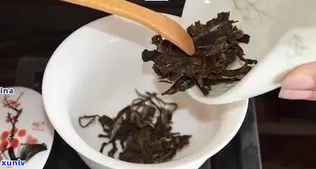 普洱茶冲泡技巧：如何控制茶叶的浓度以获得口感