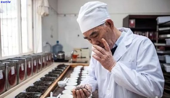 八十年代普洱茶代表人物：揭秘那些影响深远的茶艺大师与经典茶叶品种