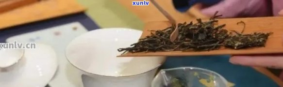 普洱茶冲泡体验及适宜人群探讨