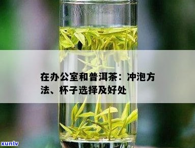 泡普洱茶的适宜性与技巧：为何普洱茶更适合饮用？