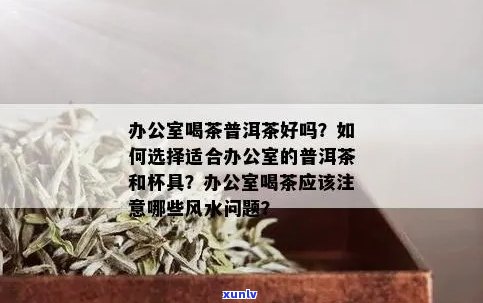 泡普洱茶的适宜性与技巧：为何普洱茶更适合饮用？