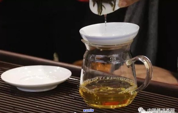 新 掌握精确步骤，让每一杯普洱茶都焕发风味