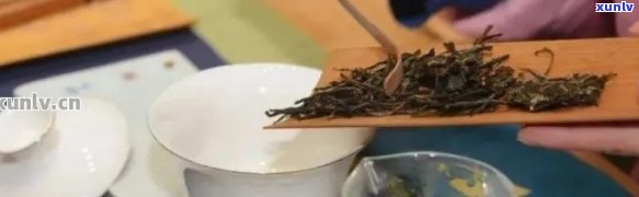 新 掌握精确步骤，让每一杯普洱茶都焕发风味