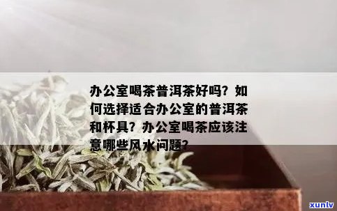 泡普洱茶必备茶具清单：如何选择合适的茶具让泡茶更优雅高效