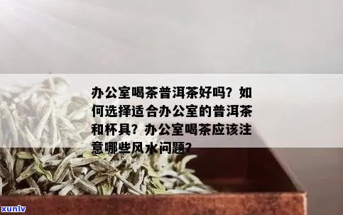 喝普洱茶的杯子选择与冲泡 *** 