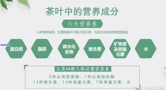 普洱茶的丰富营养价值：包含哪些成分？如何发挥其健益处？