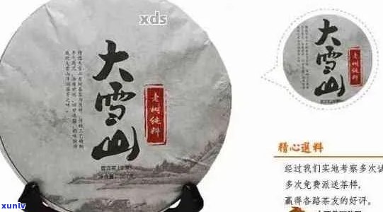 馨苑大雪山普洱茶：品质与产地的完美结合，探寻古树茶的魅力