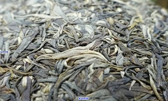 普洱茶的三种形态：生茶、熟茶与砖茶，让你全面了解普洱茶的种类与特点