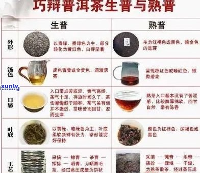 探索普洱茶的多样性：形状与品质的关系