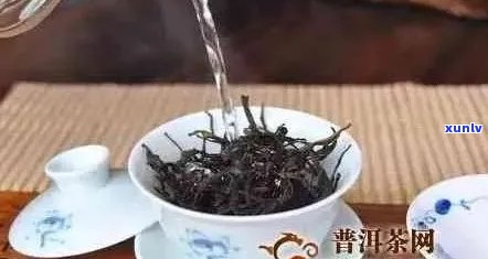 普洱茶一次泡多久最合适？