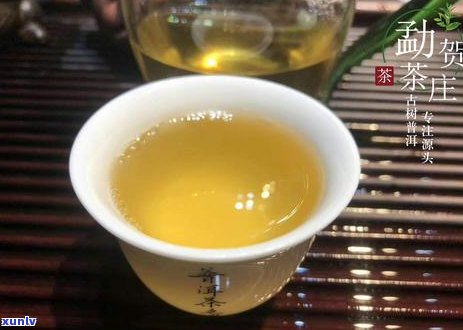 新 '普洱茶与叶的独特融合：一杯健与美味的双重享受'