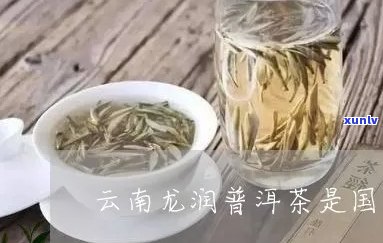 纯正龙润茶：源自云南古树普洱，口感醇厚，健之选