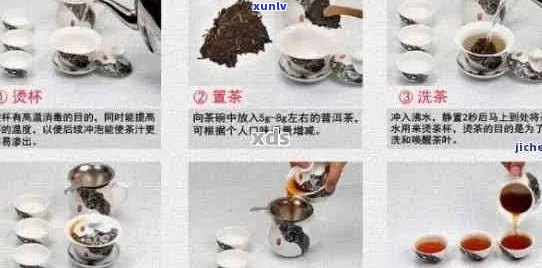 普洱茶泡法详解：4大步骤助您轻松掌握，让品茗更美味！