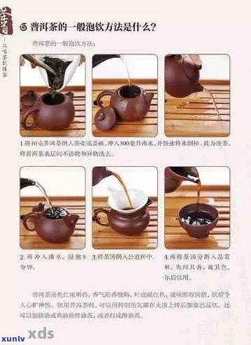 普洱茶泡法详解：4大步骤助您轻松掌握，让品茗更美味！