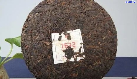 一饼普洱茶多少钱：熟茶、生茶与重量解析