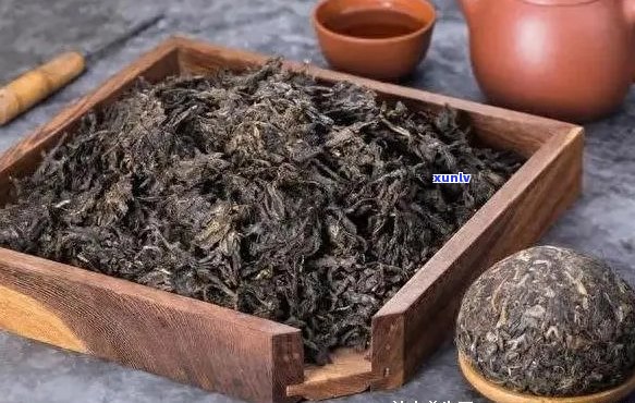 一饼普洱茶多少钱：熟茶、生茶与重量解析