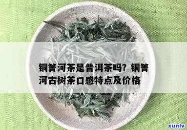 '铜箐河普洱茶口感及价格如何？好喝吗？'