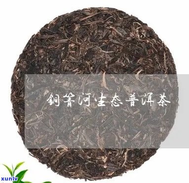 铜箐河普洱茶怎么样