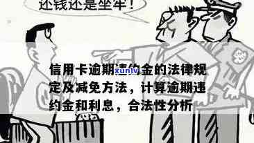 全面了解信用卡违约金罚息：更高法相关政策解读与应对策略