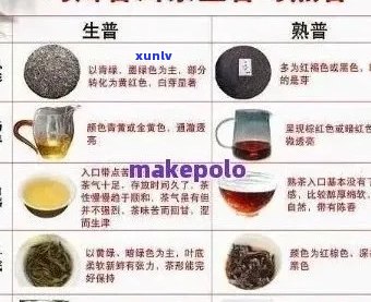 全面品鉴普粹牌普洱茶：口感、品质、泡法及适合人群详解，解答您的疑问