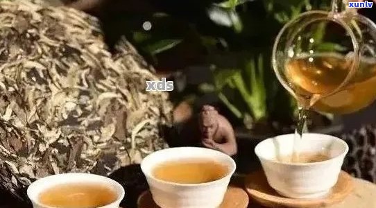 普洱茶的适宜与禁忌人群：哪些人不适合喝普洱茶？