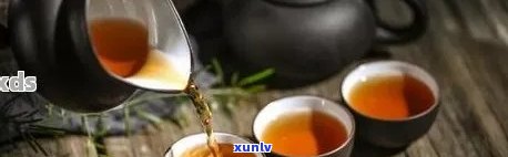 普洱茶的适宜与禁忌人群：哪些人不适合喝普洱茶？