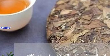 什么人群不能喝普洱茶：避免特定人群饮用普洱茶叶