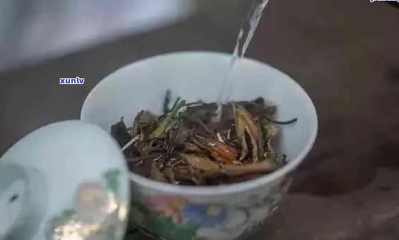 详细指南：如何在家中优雅地冲泡小坨普洱茶？