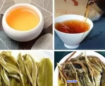 好的普洱茶是怎么样的颜色：品鉴 *** 与颜色含义