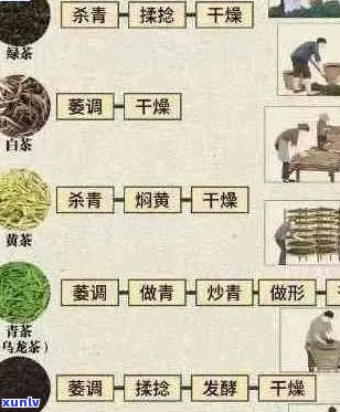 品质上乘的普洱茶应具备哪些特点？从原料到 *** 工艺全解析