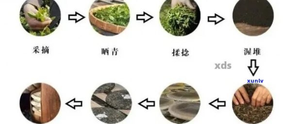 品质上乘的普洱茶应具备哪些特点？从原料到 *** 工艺全解析