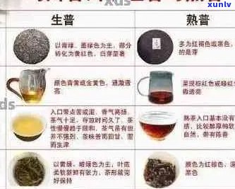 全面解读普洱茶品质：如何挑选好的普洱茶？