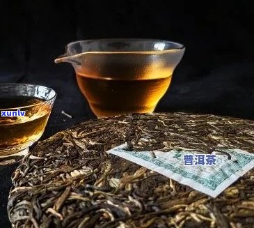 全面解读普洱茶品质：如何挑选好的普洱茶？