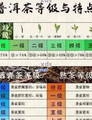 全面解读普洱茶品质：如何挑选好的普洱茶？