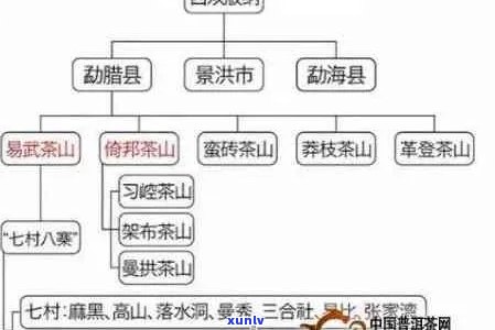 普洱茶六大古茶山、品种及特点介绍