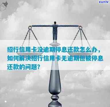 招行信用卡逾期自动停息还款-招行信用卡逾期自动停息还款怎么办