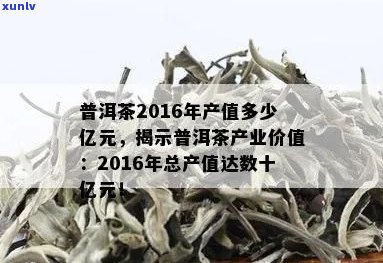 普洱茶一年存期限与价格涨幅解析：一年的普洱茶价值及产量探讨