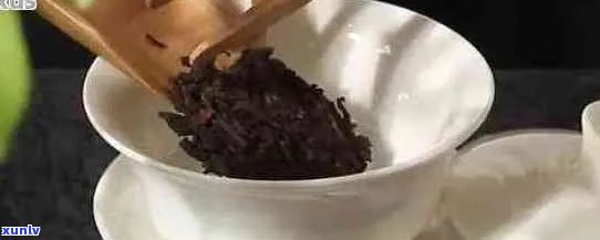 新掌握 '普洱茶一次泡多少' 的黄金比例，让每一滴茶都尽显醇厚口感