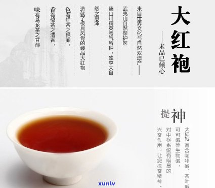 普洱茶大红袍多少钱