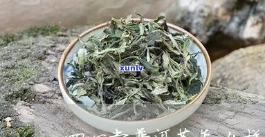 四心堂普洱茶多少钱一克价格