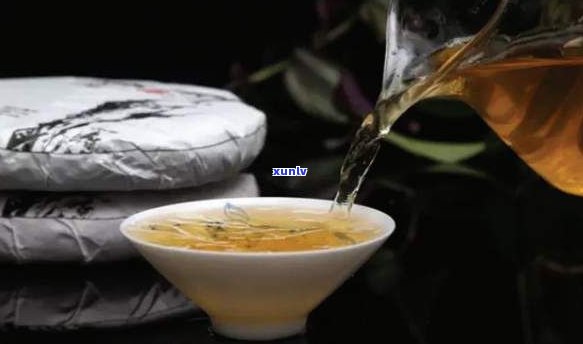 普洱茶要一直泡着吗？怎么泡好喝？