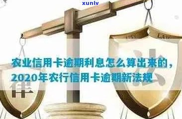 农行信用卡有逾期还款会怎么样：2020年新法规详解处理方式