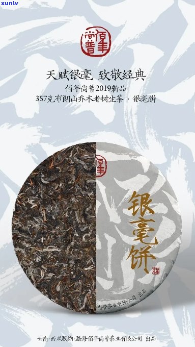 银毫饼普洱茶怎么样