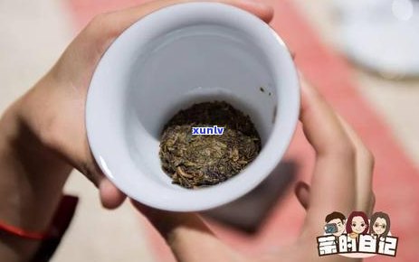 普洱茶之一泡是多久