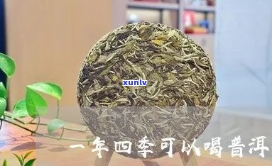 常年四只喝普洱茶