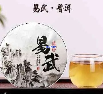 新 易武古树普洱茶生茶：品质、口感与价格分析